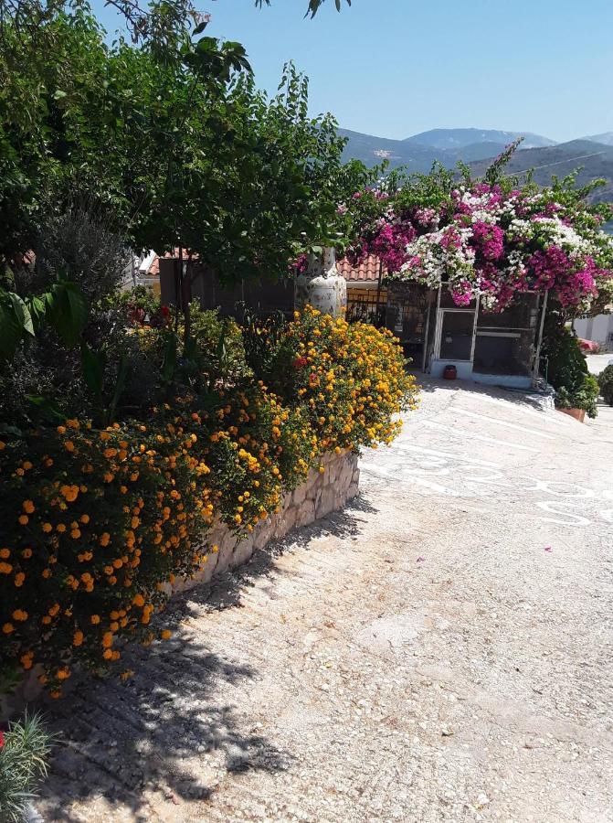 Appartamento Elenh House Argostoli  Esterno foto