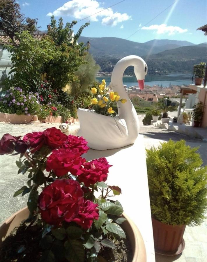 Appartamento Elenh House Argostoli  Esterno foto
