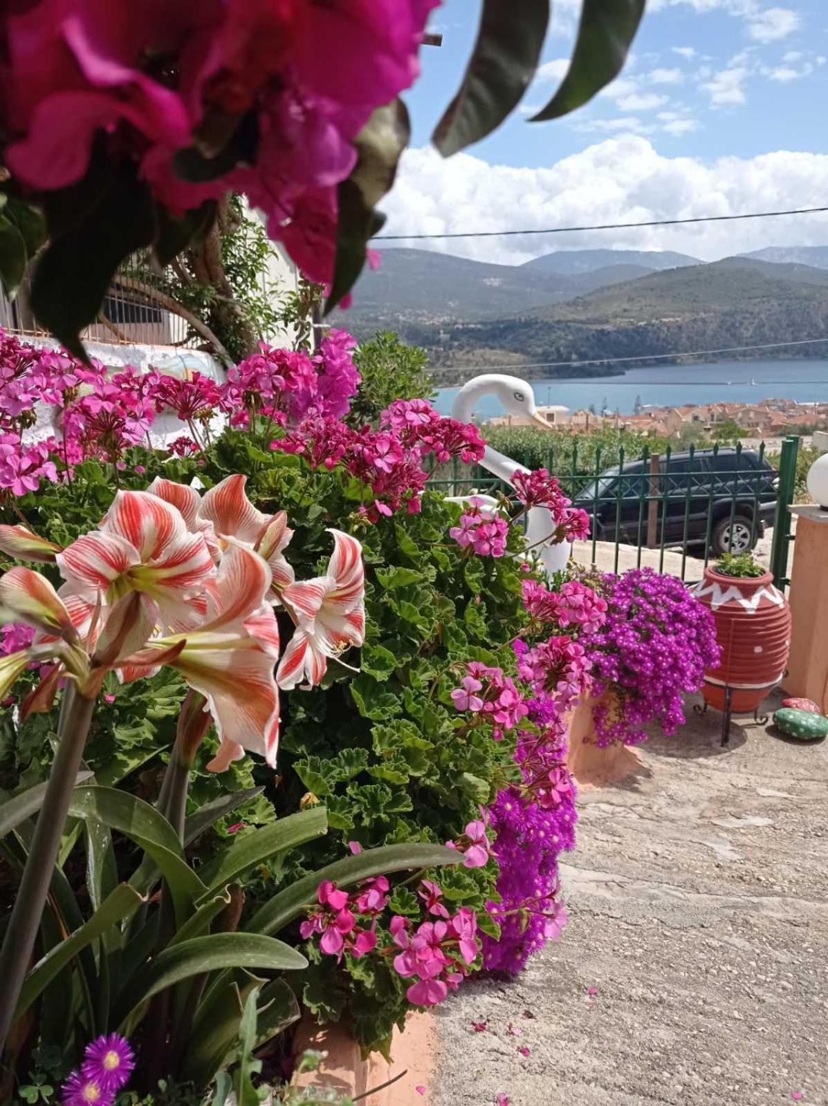 Appartamento Elenh House Argostoli  Esterno foto