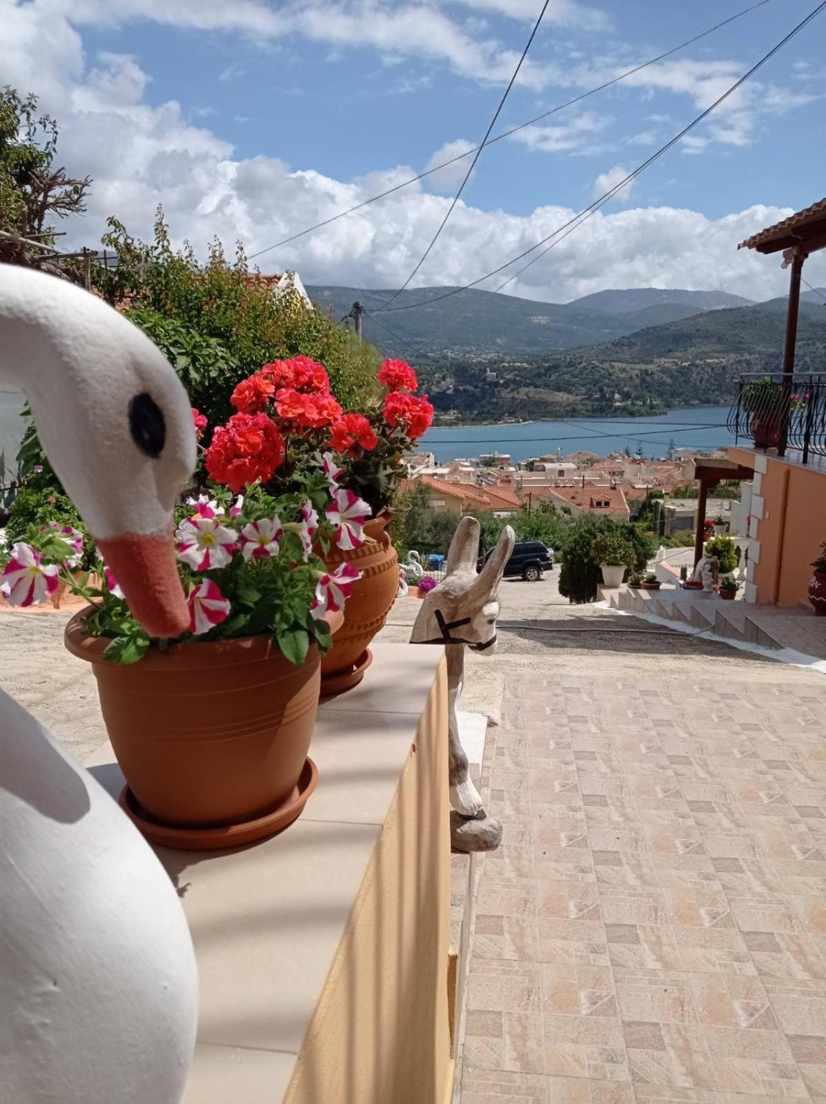 Appartamento Elenh House Argostoli  Esterno foto