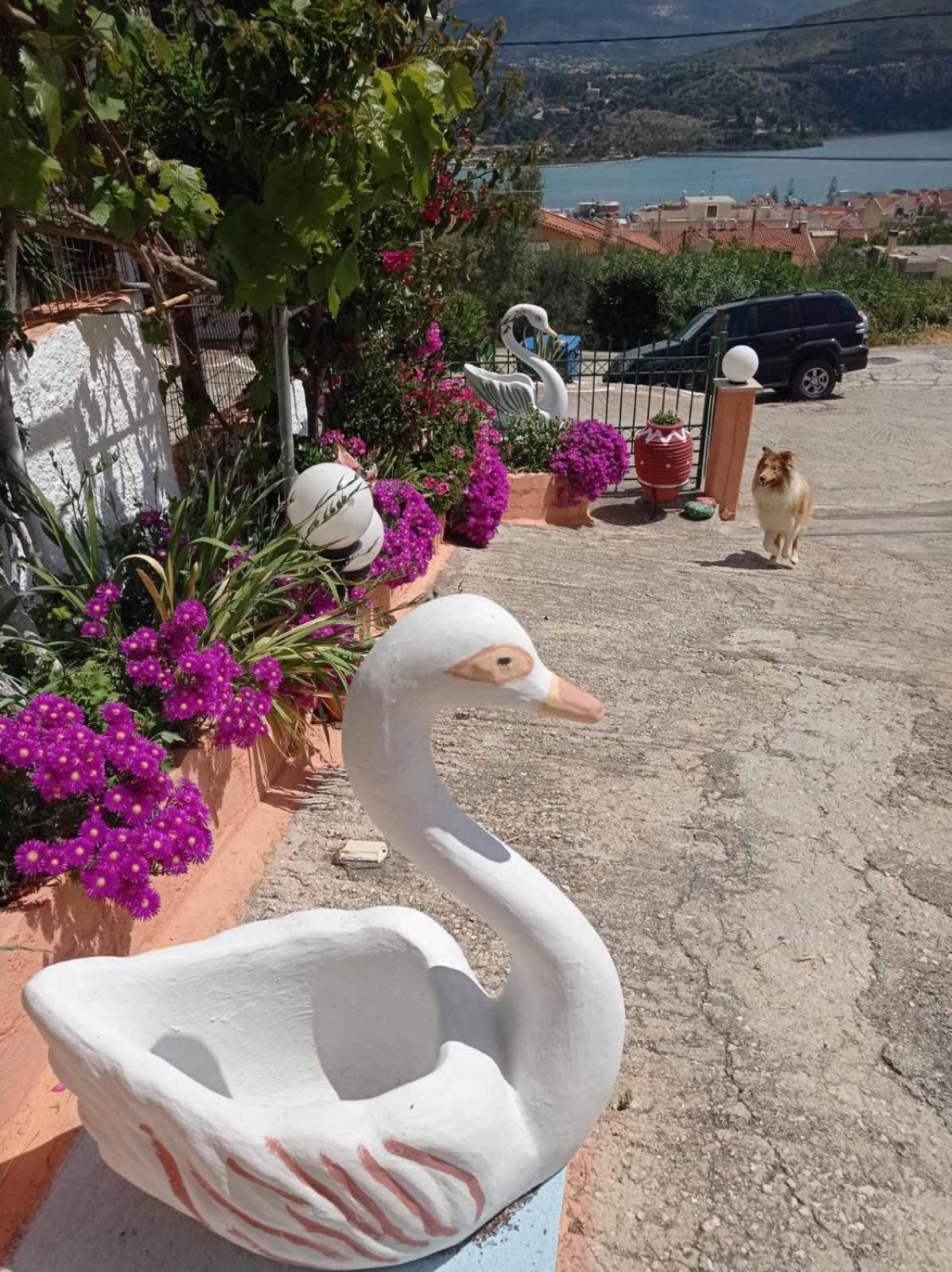 Appartamento Elenh House Argostoli  Esterno foto