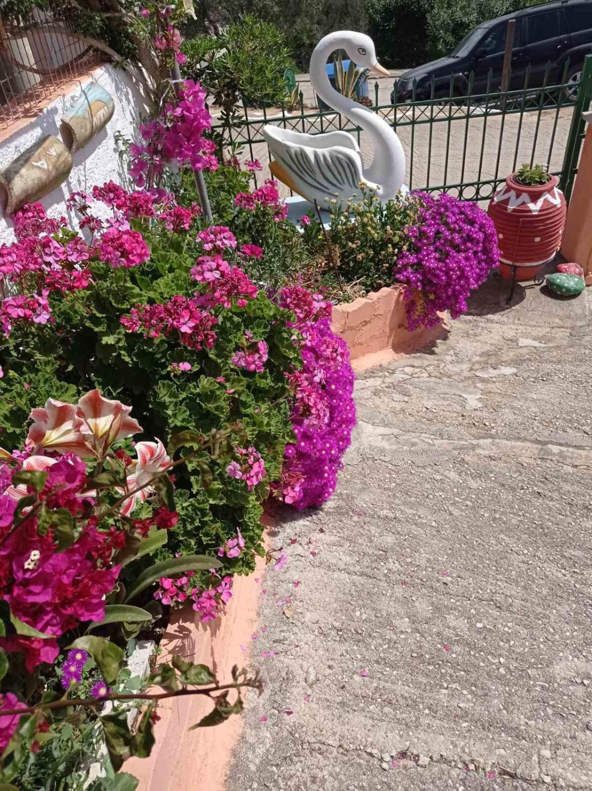 Appartamento Elenh House Argostoli  Esterno foto